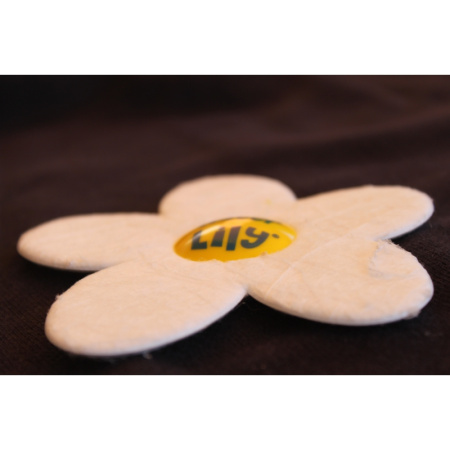 katharistiko-epifaneias-neroy-pisinas-kai-spa-water-lily-toucan4