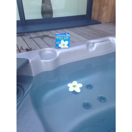katharistiko-epifaneias-neroy-pisinas-kai-spa-water-lily-toucan6_1987333007